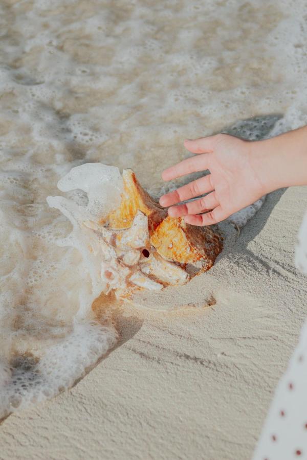 Ixchel Beach Hotel Isla Mujeres Ngoại thất bức ảnh